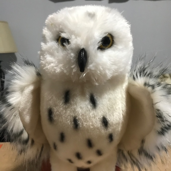 Snowy Owl stuffed animal and paper back owl book - Picture 1 of 4